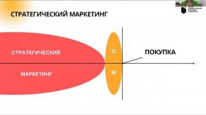 Как бизнесу получать гранты, не сливать бюджеты в маркетинг и зарабатывать большие деньги