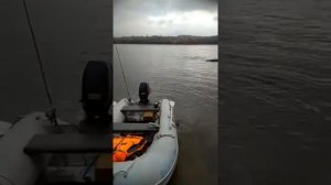 ,лодка тактика 370 после доработки