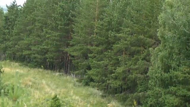 родной край смотреть онлайн