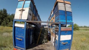 Обзор от друзей супер газель! Прицеп на 48 семей 6 метров. Тормозная система с немецким цилиндром!