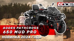 Новый квадроцикл AODES Pathcross 650 MUD PRO