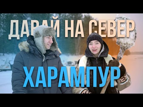 Давай на Север! Харампур