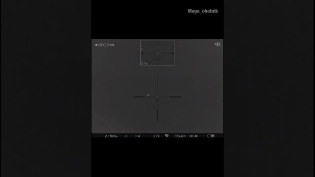 Охота на волка на вабу. Вышли пять волков. смотреть онлайн