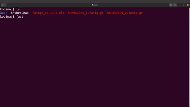 Fastqc Linux Install and Usage (Commandline & GUI) смотреть онлайн