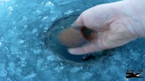 море Лаптевых часть III