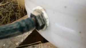 ниппельная поилка для гусей и обустройство хлева