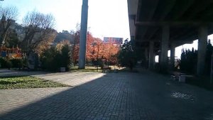 Хоста (Сочи) Прогулка от отеля Хоста до пляжа Бриз. декабрь 2017