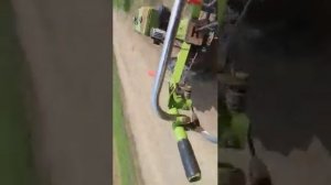 Гонки на мотоблоках