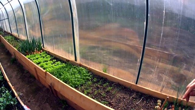 ЧЕХОЛ НА ПАРНИК СВОИМИ РУКАМИ// ЧТО РАСТЕТ В ТЕПЛИЦЕ?//деревенские будни смотреть онлайн