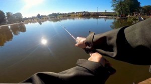 Форель. Осень. РКХ Тихая заводь Щеглятево. Запуск 800 кг форели !!!