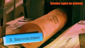 Бизнес идея 2023-2024. Выращивание павловнии от А - Я. Бизнес идеи по новому