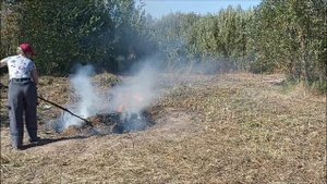 5 день. Сжигаем ветки и траву...