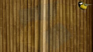 СИНИЧКА ИЗ БУМАГИ мастер класс