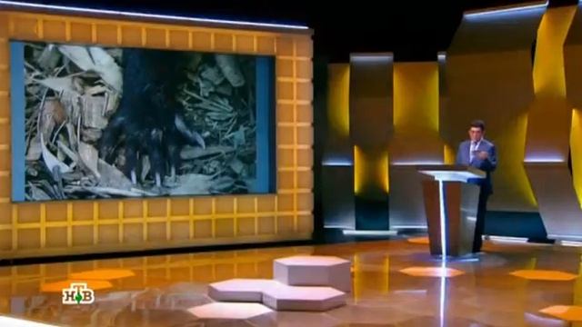 Своя игра. Левин - Рождествин - Сморщков (10.04.2016) смотреть онлайн