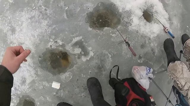 Ловля карася в Днестровском лимане.Зимняя рыбалка 2017.Днестр смотреть онлайн