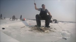 Ловля наваги на махалки и блесны.  Mr.Musurok Lures and Rods. Охотск (Хабаровский край)