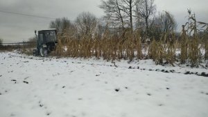 Уборка стеблей кукурузы самодельной сбивалкой на минитракторе CATMANN-35.3