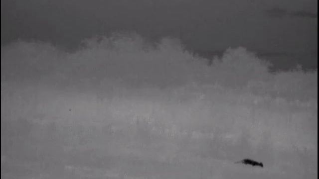 Part 9. Fox hunting, pulsar helion xq38f смотреть онлайн