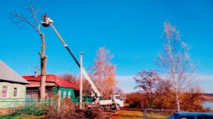 Спил большого дерева на автовышке