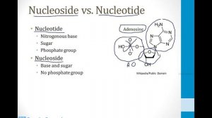 Infectious Diseases - 6. Viruses - 7.HIV Drugs atf