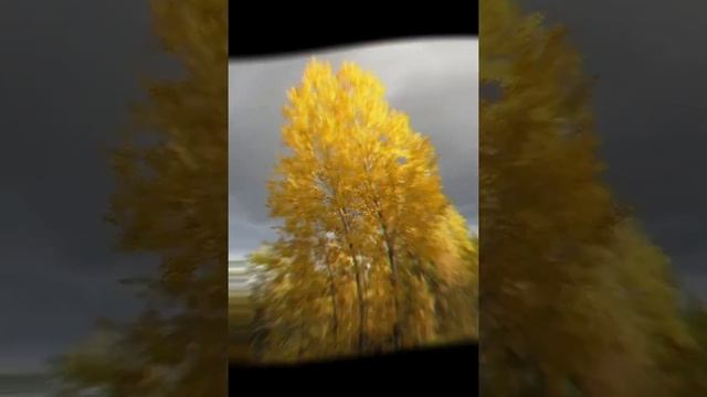 Стихотворение про осень.?