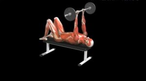 Разгибание трицепсов со штангой лежа на горизонтальной скамье Triceps Extension Lying Barbell