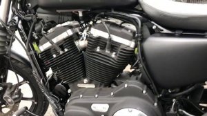 Harley-Davidson Sportster XL 883 Iron