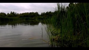 Окуневая рыбалка на Нейво-Рудянском вдхр. 10.08.2019г.
