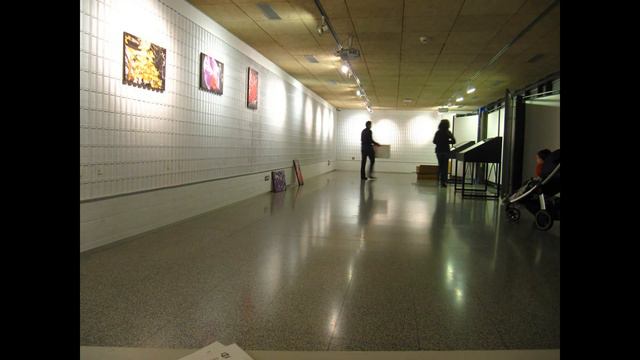 Desmontaje de la exposición Orchids смотреть онлайн