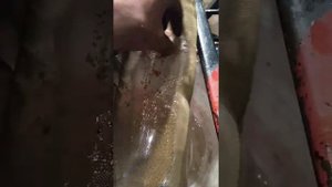 Промывка радиатора печки в домашних условиях