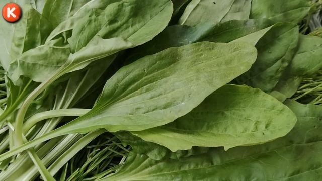 ВСЕГО ОДИН СТАКАН!!! В КОРНИ ОРХИДЕИ И РЕЗУЛЬТАТ ВАС ВООДУШЕВИТ!??? ЭКСПРЕСС МЕТОД РАЗВИТИЯ ОРХИДЕЙ смотреть онлайн