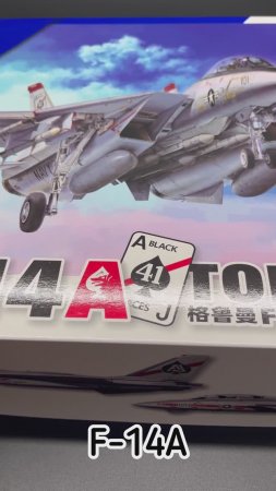 Кот от Great Wall Hobby. F-14A в 48 масштабе.