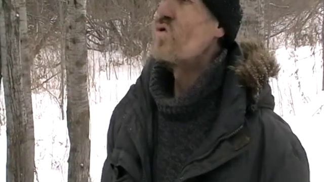 Домашние крысы смотреть онлайн