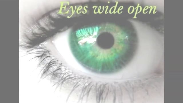 Sonnet 27 with voice смотреть онлайн