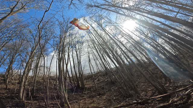 Заперло на параплане и снесло на деревья. смотреть онлайн