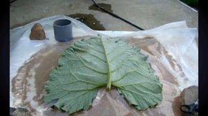 Как сделать фигурки для сада -- красивый лист