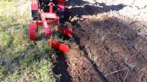 Беларус 132Н с двухкорпусным плугом