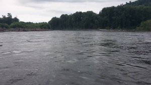 ТАЙМЕНИ И ЛЕНКИ РЕКИ ГУР