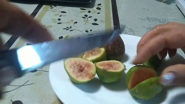 ИНЖИР.Начало сбора урожая.