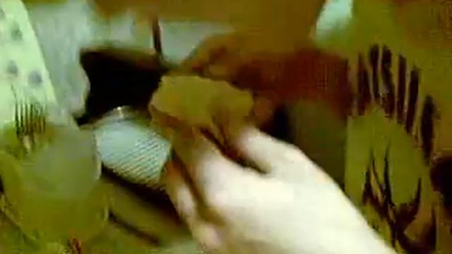 How to eat a mango смотреть онлайн