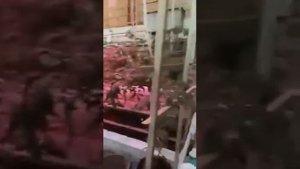 Котел Сибирь Гефест 15 кВт