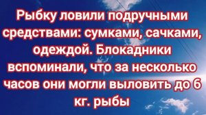 Рыба СПАСШАЯ ЛЮДЕЙ В БЛОКАДУ. Рыбалка и ловля которой была необходима колюшка