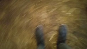 Нипельные поилки для поросят!