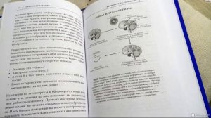 Диспенза Джо "Сила подсознания...". Часть 5 - Выживание vs Созидание.