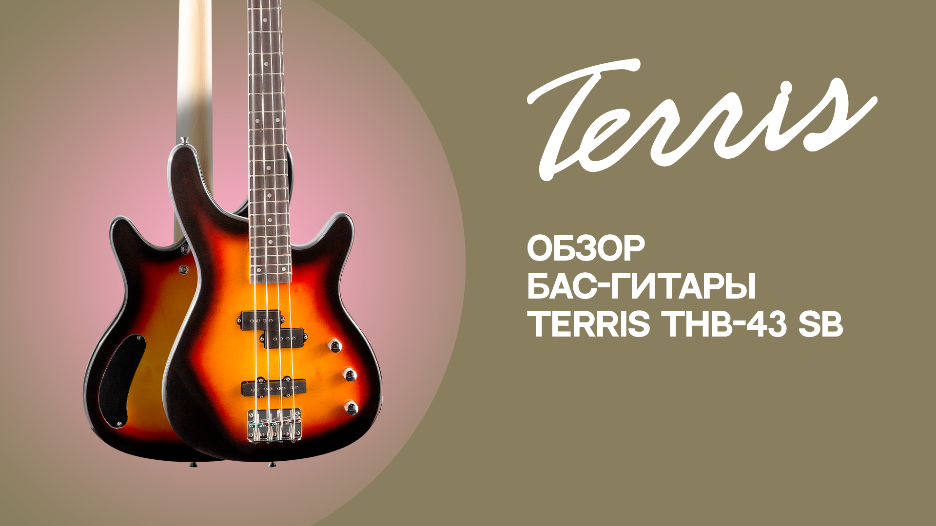 Бас гитара terris. Бас гитара Terris THB-43 BK. Terris TJB-46 SB бас-гитара. Terris THB-43 SB.