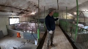 Сарай для СВИНОМАТОК ...