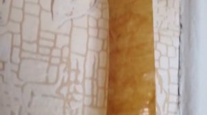 Как найти гнездо моли