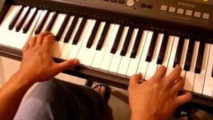 Casio WK-110