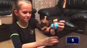 Ника против куклы Barbie.Гимнастический челлендж.