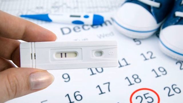 OGIL KORISH - SIRLARI KALENDARI VA HOMILA JINSINI ANIQLASH USULLARI  УГИЛ КУРИШ СИРЛАРИ